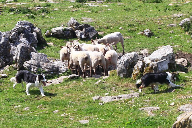 10-Day Ultimate Small-Group Tour of Ireland from Dublin - Final Thoughts