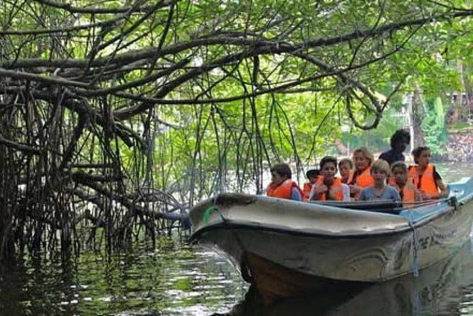 10 Days 9 Nights Sri Lanka Tour - Multi Day Tour - Scenic Train Ride and Tea Country