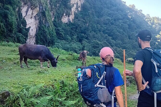 10 Days Annapurna Basecamp Private Trekking from Pokhara - The Sum Up: Who Is This Trek Perfect For?