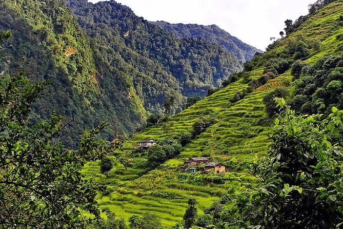 10 Days Annapurna Poon Hill Ghorepani Ghandruk Homestay Trek - FAQs