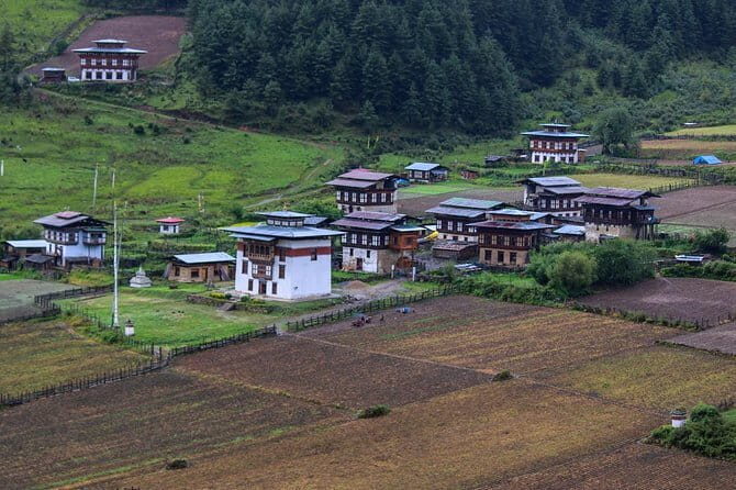 10 Days Bhutan In-depth Culture & Nature Travel Experience - Frequently Asked Questions