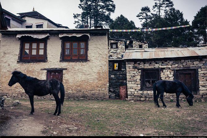 10 days Everest Tengboche Monastery Trek - Authentic Sherpa Culture and Mountain Views