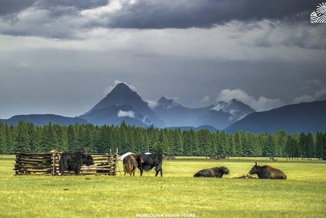 10 Days EXPLORE THE BEAUTY OF NORTHERN MONGOLIA - Practical Insights and Value Analysis