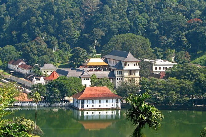 10 Days Photographic Tour With Holiday Walkers Sri Lanka - The Sum Up: Who Will Love This Tour?