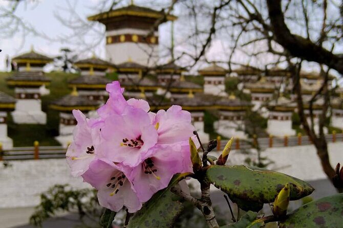 10 Days Private Tour in Central Bhutan - Key Points