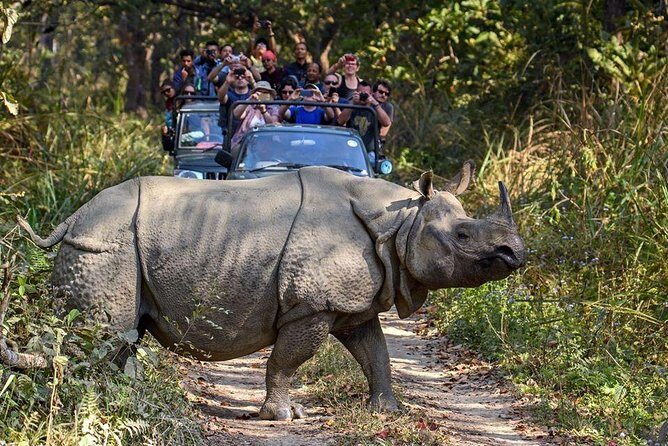 10 days Special Nepal Tour Package - Who Should Consider This Tour?