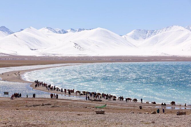10 Days Tibet Everest Base Camp and Namtso Small Group Tour - Exploring Tibet’s Highlights: From Lhasa to Everest