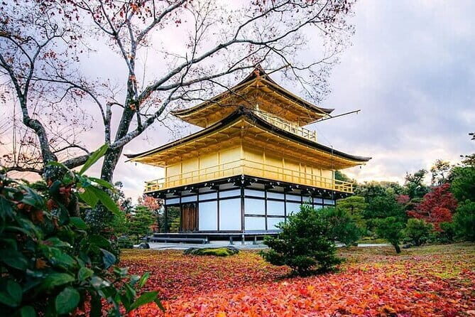 10 Hour Private Customizable Tour to Kyoto from Osaka - Exploring Kyoto in a Day: A Deep Dive into the 10-Hour Private Tour from Osaka