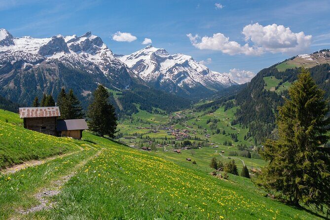 10-Hour Private Tour in Bern from Zurich - Key Points