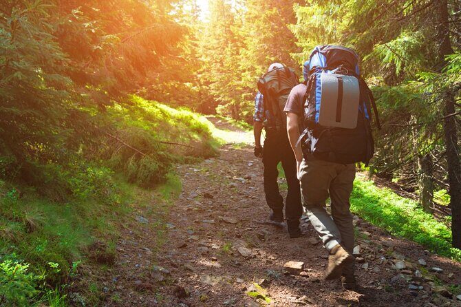 10 Hours Private Hiking in Khao Yai National Park From Bangkok - The Experience: What Does It Feel Like?