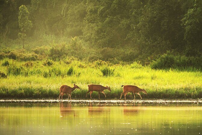 10 Hours Private Hiking in Khao Yai National Park From Bangkok - Final Thoughts
