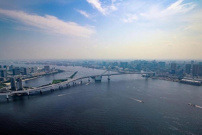 10 minsTokyo Helicopter Tour + Private Car Pickup & Drop off - Final Words: Who Should Consider This Tour?