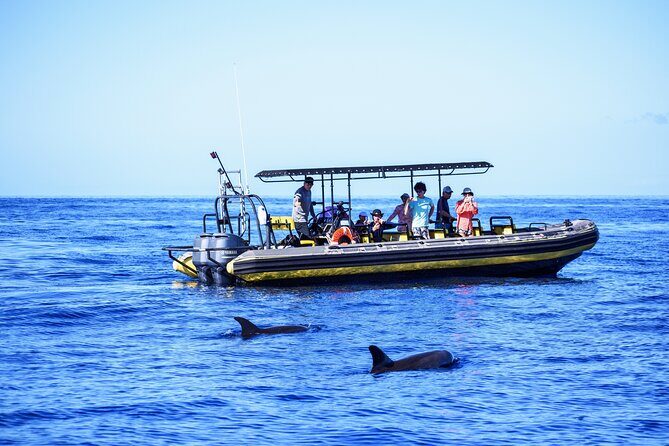10 Passenger Max Customizable Private Charter - Exploring the Big Island with a Private 4-Hour Marine Charter