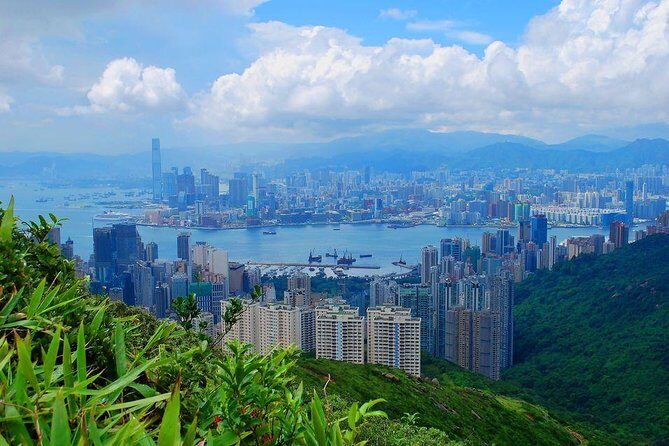 100% Private & Personalised Tour of Hong Kong With A Local Insider - In-Depth Look at the Tour Experience