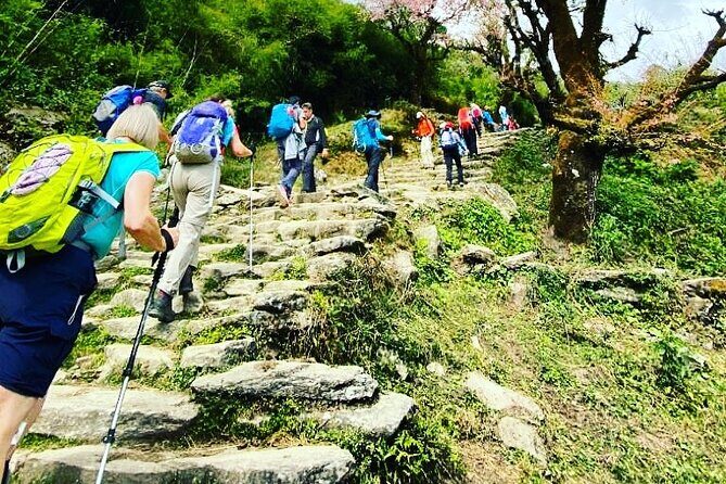 11-Day Hike Tour to Annapurna Base Camp Bliss in Kathmandu - Introduction: Why This Trek Stands Out