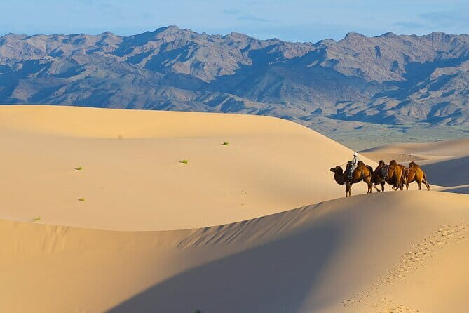 11 Day World Heritage Orkhon Valley National Park Cycling Tour - Final Thoughts: Is This the Mongolia Experience You Need?