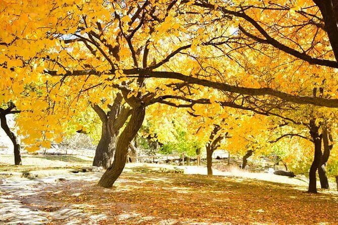 11 Days Trek Nanga Parbat Base Camp & Hunza Gojal Valley - FAQs