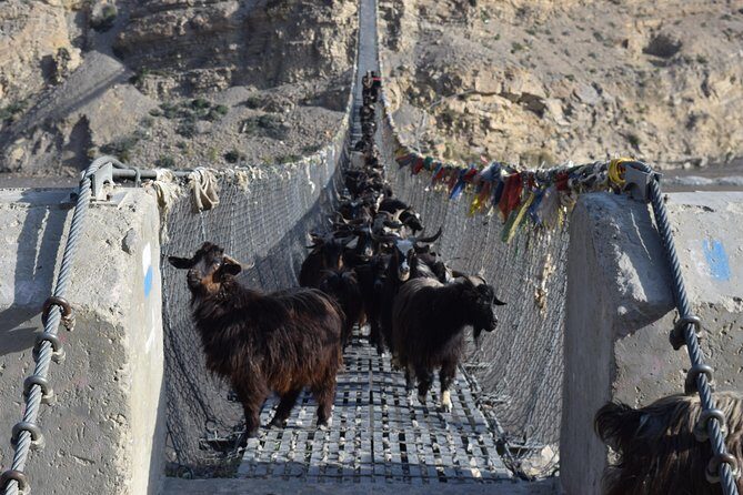 11 Night 12 Days Upper Mustang Trek - Final Value & Who Should Consider It