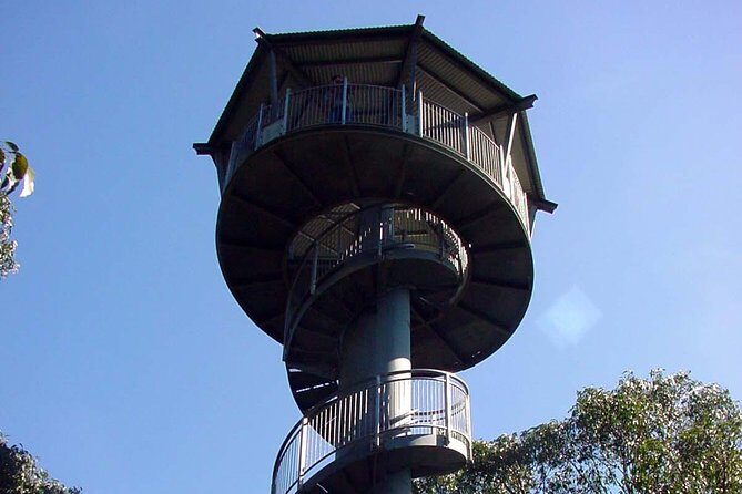 12 Apostles and Otway Fly Zipline Day Trip from Melbourne - Rainforest Adventure: Otway Fly Treetop Walk and Zipline