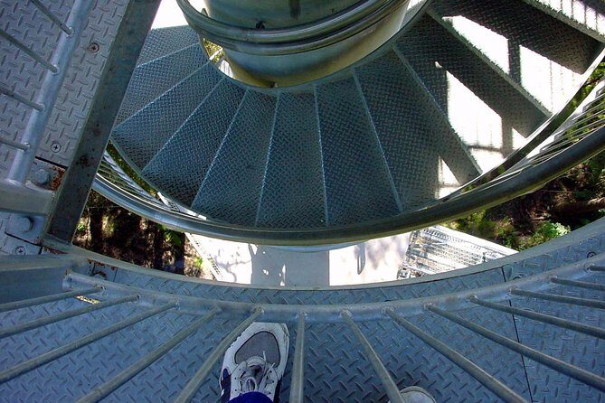 12 Apostles and Otway Fly Zipline Day Trip from Melbourne - Return Journey and Final Moments in Melbourne