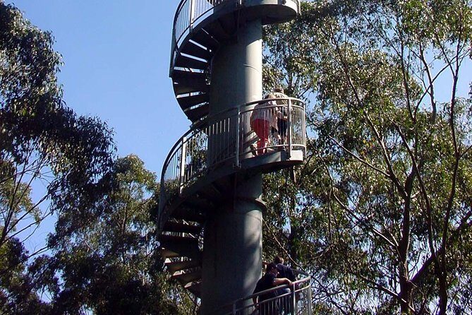 12 Apostles and Otway Fly Zipline Day Trip from Melbourne - Analyzing the Value