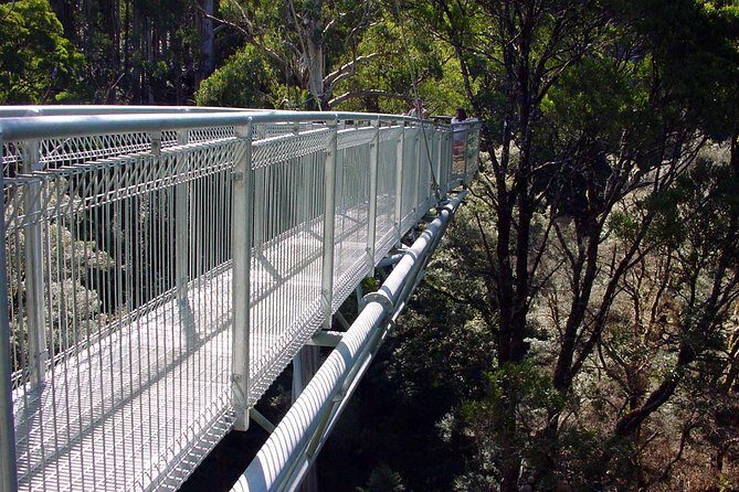 12 Apostles and Otway Fly Zipline Day Trip from Melbourne - Who Will Enjoy This Tour?