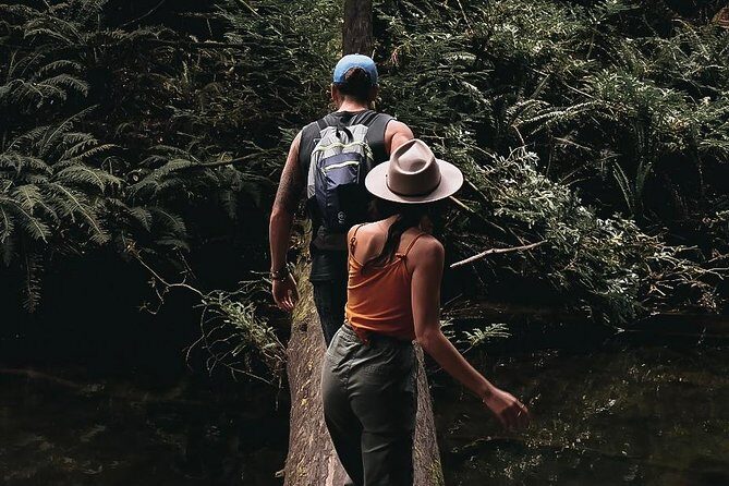 12 Apostles, Otways & Great Ocean Road Day Tour - Small Group - Who Should Consider This Tour?