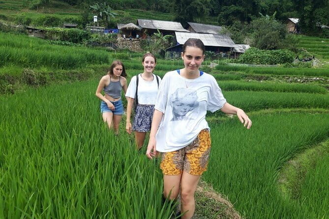 12 Day Cross Vietnam and Siem Reap Tour - Who Is This Tour Best Suited For?