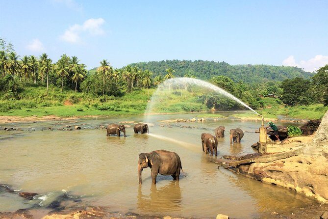 12 Day Explore Sri Lanka - An In-Depth Look at the 12-Day Itinerary