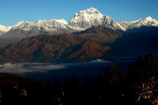 12-Day Nepal Adventure Trek with Jungle Safari - The Sum Up: Who Is This Tour Best Suited For?