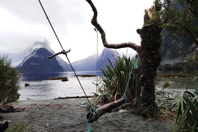 12 Day New Zealand Private Tour from Auckland to Queenstown - A Complete Breakdown of the Itinerary