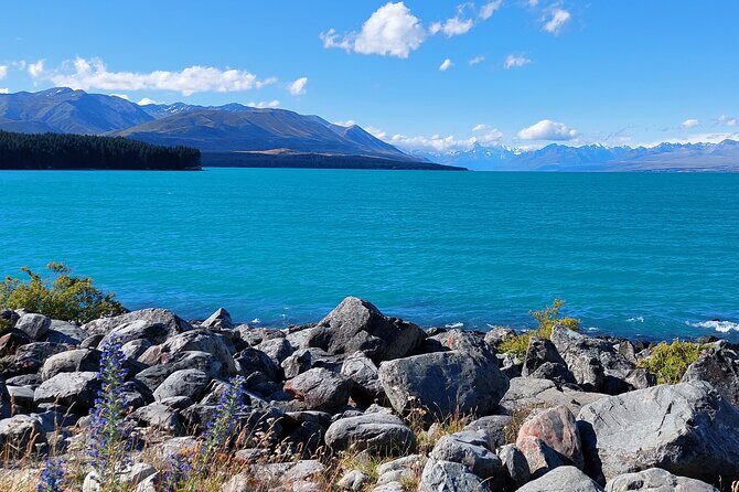 12 Day New Zealand Private Tour from Auckland to Queenstown - FAQs