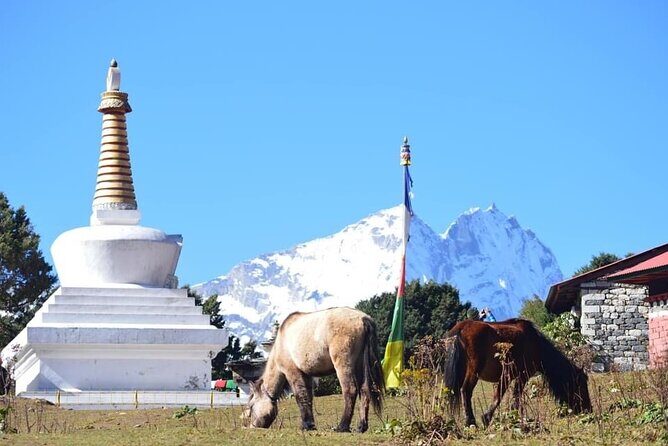 12 Day Private Mt. Everest View Luxury Trek - FAQ