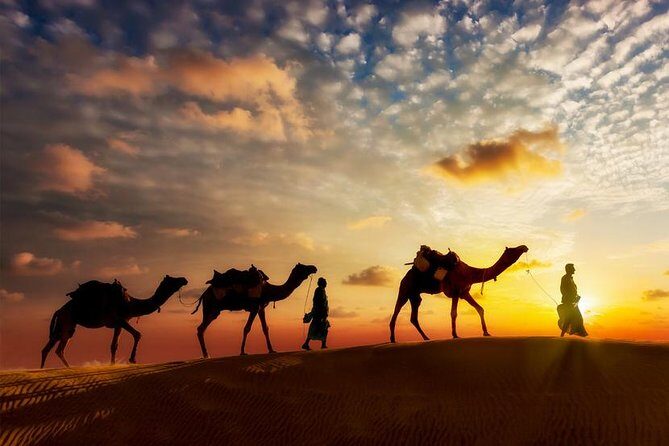 12-day Private Tour: Maharaja Rajasthan - Analyzing the Value: Is this Tour Worth It?
