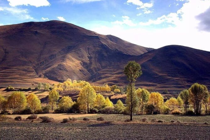 12-Day West Sichuan tour:Kangding-Daocheng Yading-Tagong-Danba-Mt.Siguniang - Starting Off in Chengdu: From Urban Buzz to Ancient Giants