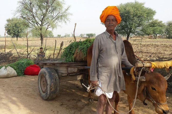 12 Days Heritage of Royal Rajasthan Tour with Golden Tringle - Key Points