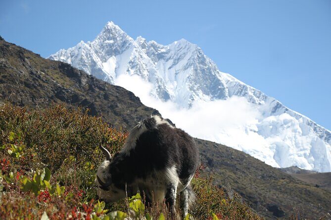 12 Days Private Everest Camp Base Tour from Kathmandu - Final Thoughts