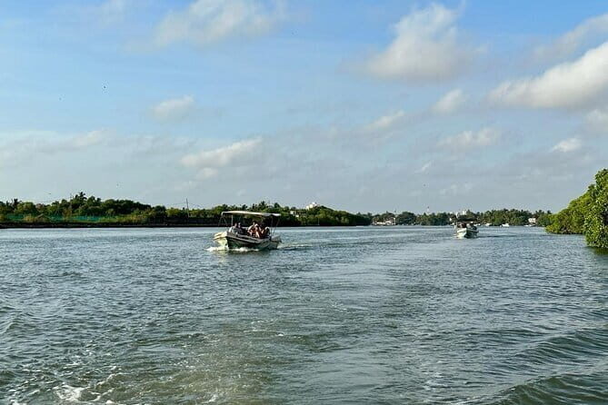 12 Days Tour Grand Discovery of Sri Lanka - Southern Coast and Marine Life