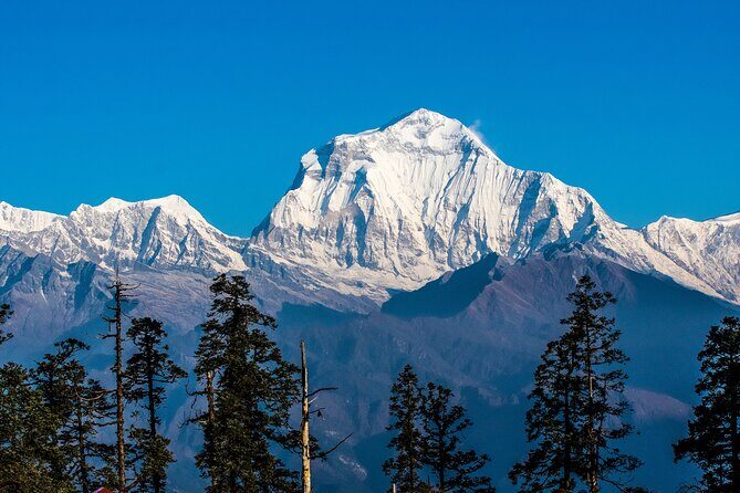 12 Days Trek Tour in Nepal - Frequently Asked Questions