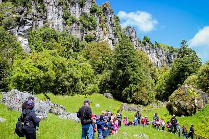 12-Hour LOTR Trollshaws & Waitomo Glowworm Tour - Introduction: Why This Tour Might Be Your Kiwi Dream