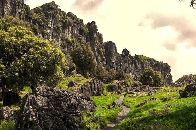 12-Hour LOTR Trollshaws & Waitomo Glowworm Tour - Transportation and Comfort