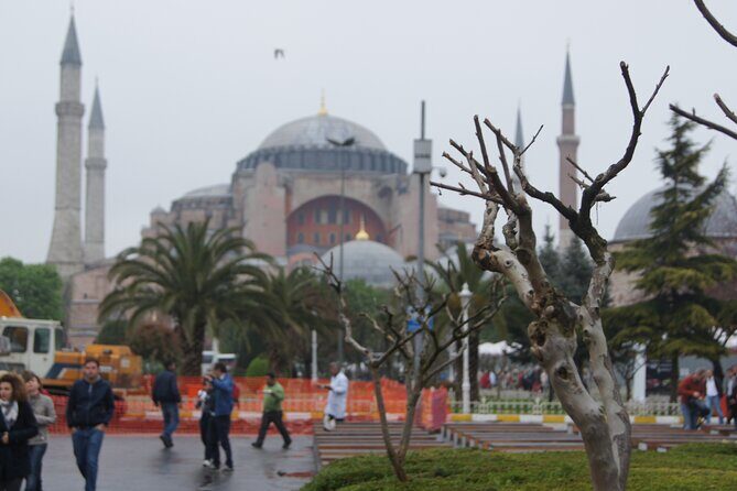 1,2 or 3 DAY: Private Guided Istanbul Tour from CRUISE SHIP or HOTEL - Transport and Flexibility