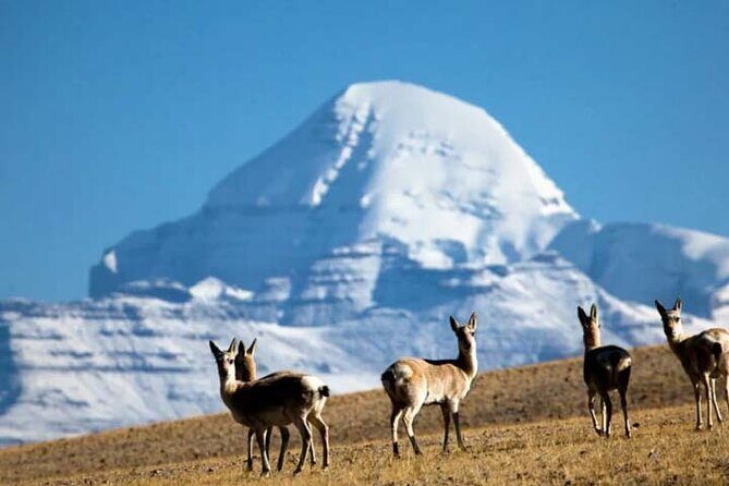 13 Day Lhasa, Mt. Everest, Mt. Kailash to Kathmandu Adventure - From Lhasa to Shigatse & Gyantse