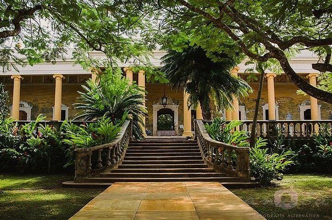 13-Day Southeast Tour: Puebla, Oaxaca, Chiapas, Merida and Cancun - Final Verdict: Who Should Consider This Tour?