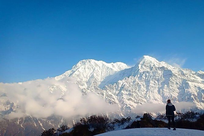 13 Days Adventurous Mardi Himal Trek From Kathmandu - Authentic Insights from Reviewers