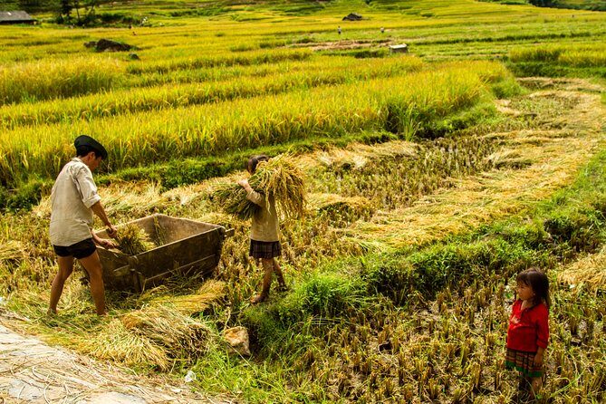13 Days Vietnam's Authentic Heritage And Scenic Golden Bridge - Local Living and Hidden Corners