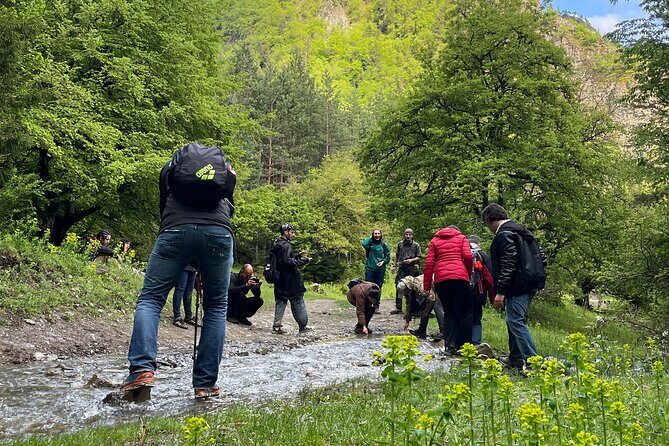 13 km hike in Borjomi - Group tour from Tbilisi - Who Should Consider This Tour?
