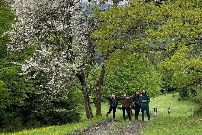 13 km hike in Borjomi - Group tour from Tbilisi - FAQ