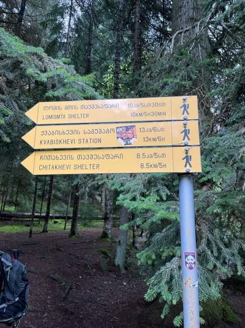 13 km hiking tour from Kutaisi to Borjomi - The Value of the Experience