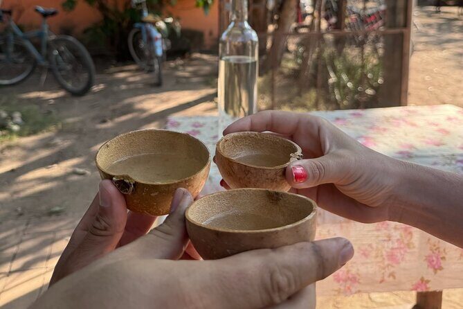 14 Day Beach Paradise Tour in Puerto Escondido Mexico - Analyzing the Value